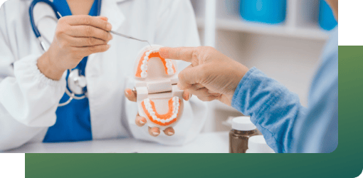 Dentist using a dental model to explain follow-up care and maintenance for proper healing after root canal theraphy.