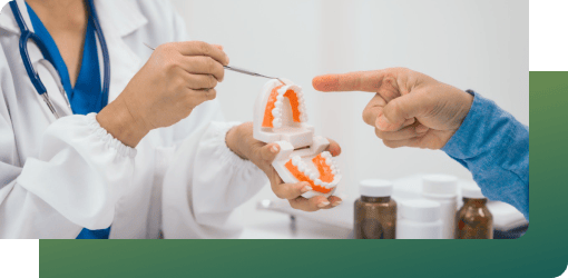 A dentist explains follow-up care with a dental model, focusing on home recovery in urgent dental care.