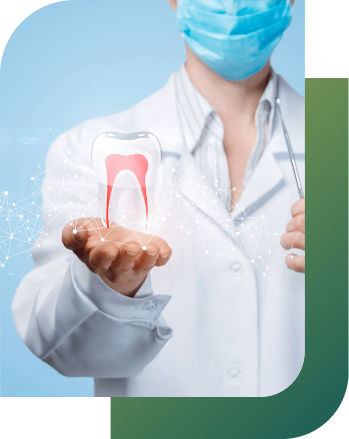 Dentist holding a digital tooth.